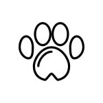 Dog's paw icon